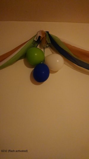 xz1c bannerflash.jpg