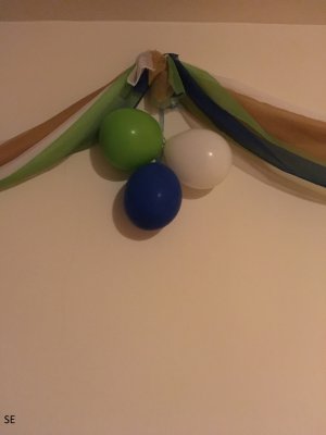 se banner.jpg se banner.jpg