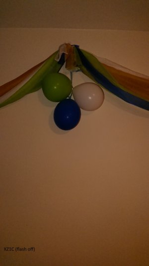 xz1c banner.jpg