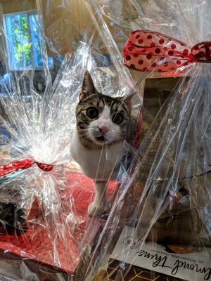 MVIMG_20171122_112049.jpg