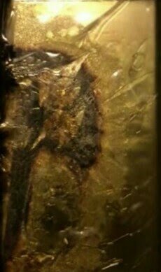 Samsung-Note-7-Caught-Fire-1-e1473393203252~01~01.jpg