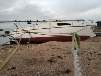 8259.jpg