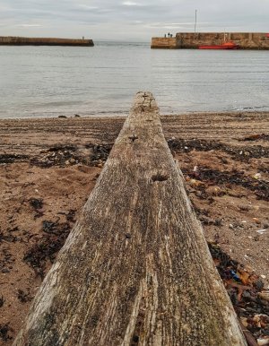 20171203_152005-01-01.jpg