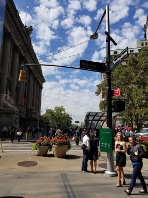 20170913_125232.jpg