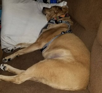 20171023_000758.jpg