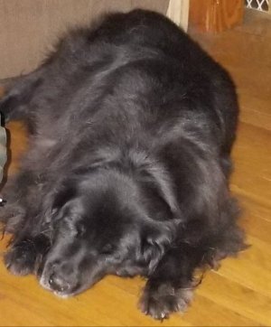 20171023_000623.jpg