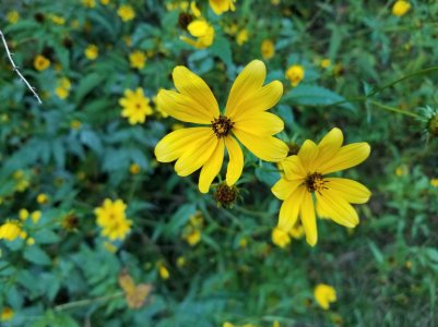 20171003_182036.jpg