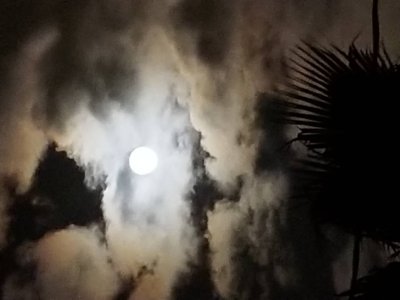 20171203_200729.jpg