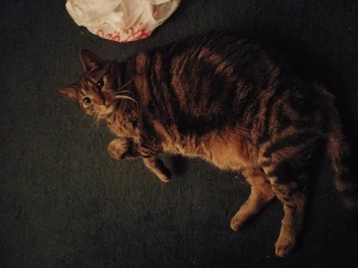 20171022_030339.jpg