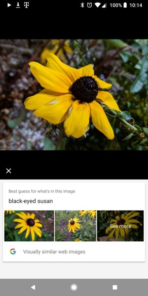 Screenshot_20171025-101416.jpg