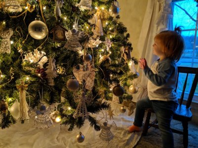 christmastree.jpg