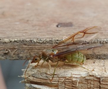 20171115_134843_HDR.jpg