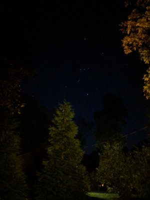 IMG_20171026_065720.jpg