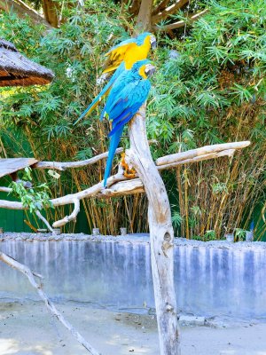 20171001_114540-EFFECTS-1.jpg