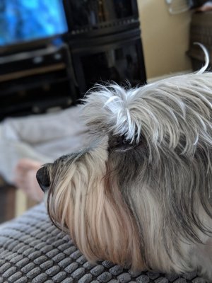 Wally_Side_Portrait2.jpg