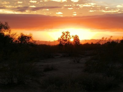 IMG_20171205_171430.jpg