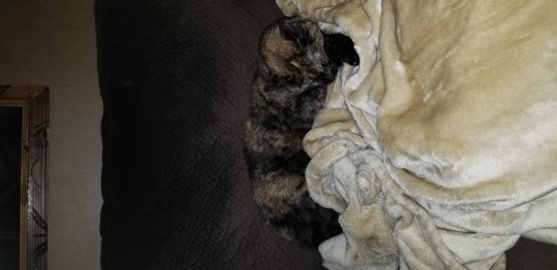 20171007_001926.jpg