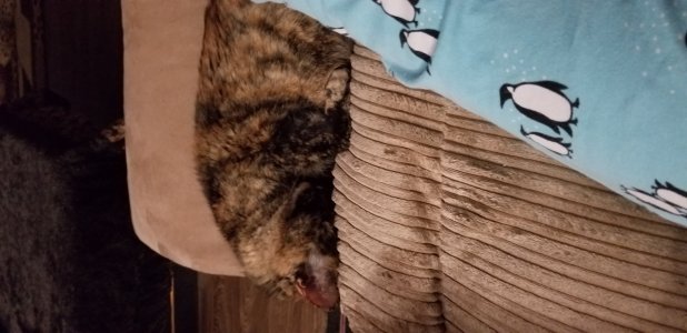 20170919_210947.jpg