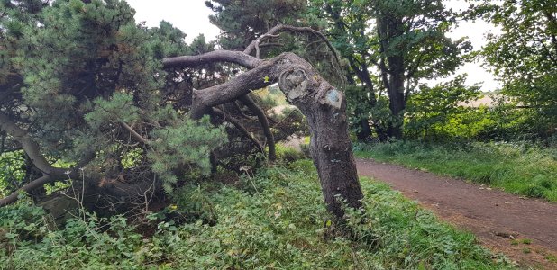 20171007_123846-01.jpg