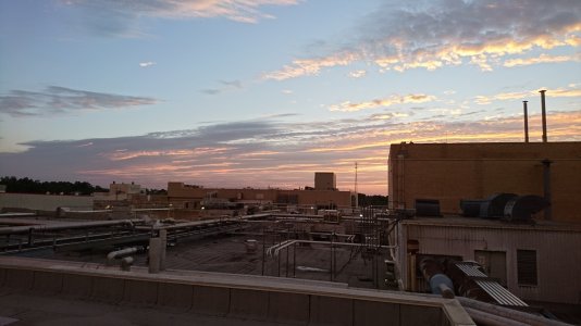 DSC_0084.jpg
