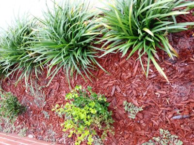 20171007_121048.jpg