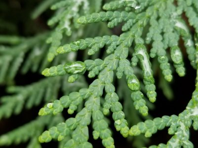 20171007_142413.jpg