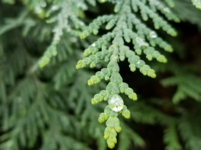 20171007_142427.jpg