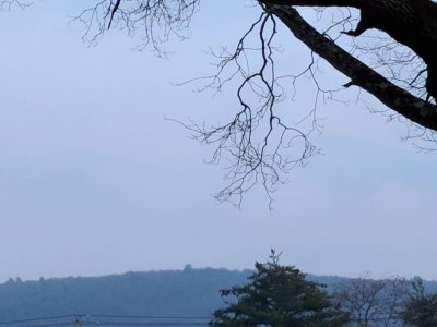 93.jpg