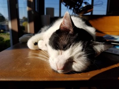20171209_105200.jpg