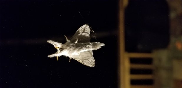20171007_201333.jpg