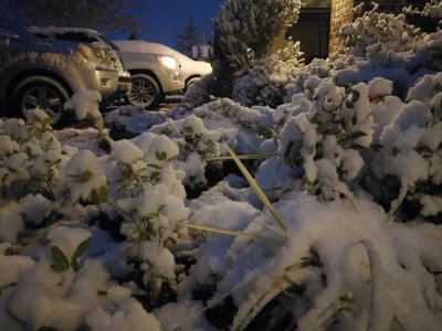 IMG_20171208_063837.jpg