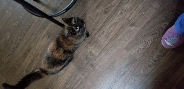 20171007_160650.jpg