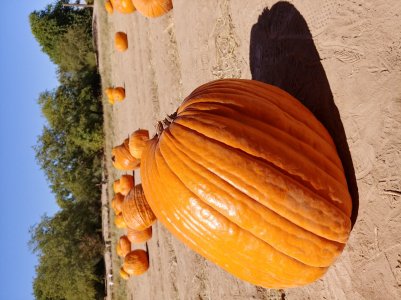 20171028_114344_HDR.jpg