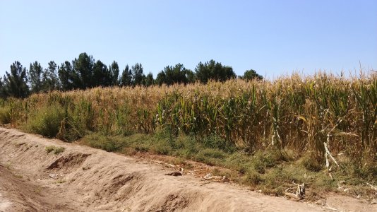 20171028_113844.jpg