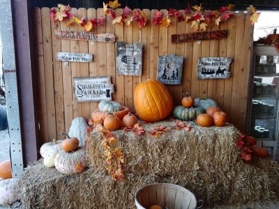 20171028_115110.jpg