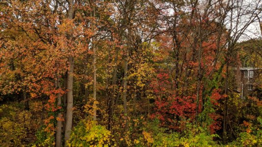 MVIMG_20171029_110654.jpg