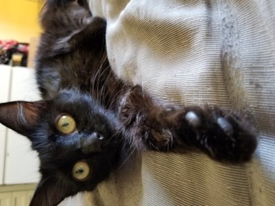 20171008_141116.jpg
