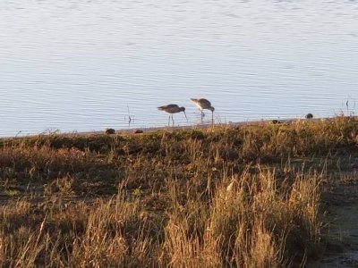 20171210_161015.jpg