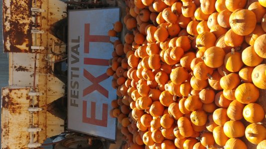 20171028_115036.jpg