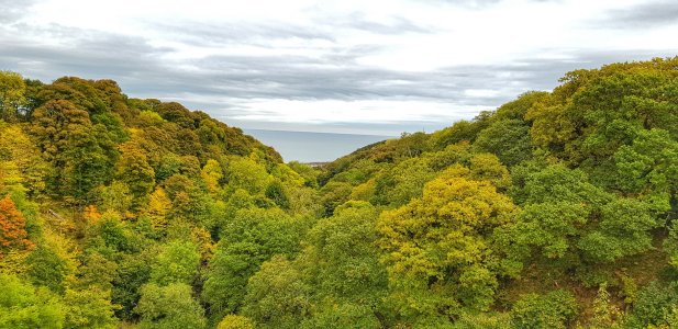 20171009_091156-01.jpg