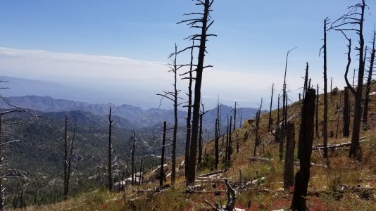 20171004_131650.jpg