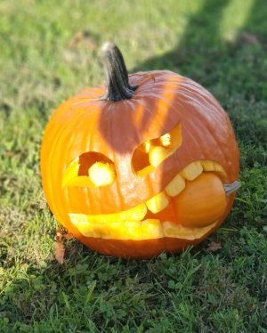 20171028_161329.jpg