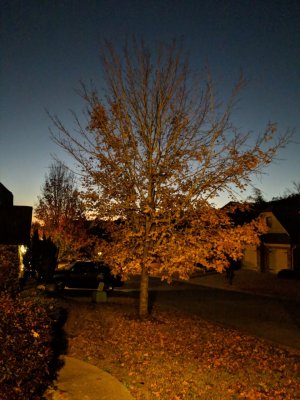 MVIMG_20171128_172225.jpg