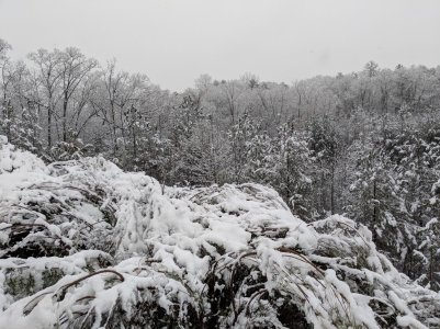 MVIMG_20171208_112309.jpg