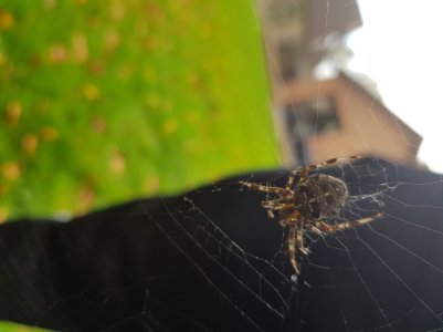 20171029_133329.jpg
