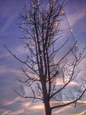 20180110_161150-01.jpg