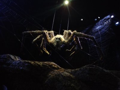 20180110_142316.jpg