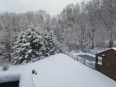 20171225_090830.jpg