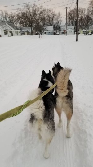 20180113_075336.jpg