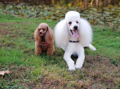 20171103_160556 smaller.jpg